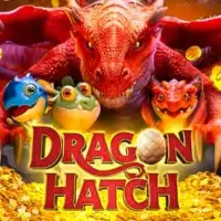 MrPunter Casino — Dragonhatch